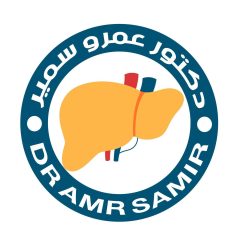 عمرو سمير